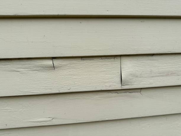 Affordable Siding Repair and Maintenance Services in West Modesto, CA